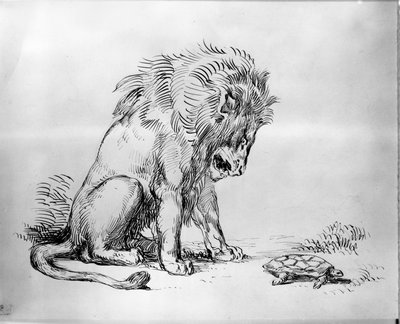 Lion and Tortoise by Ferdinand Victor Eugene Delacroix
